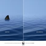 publicité wwf